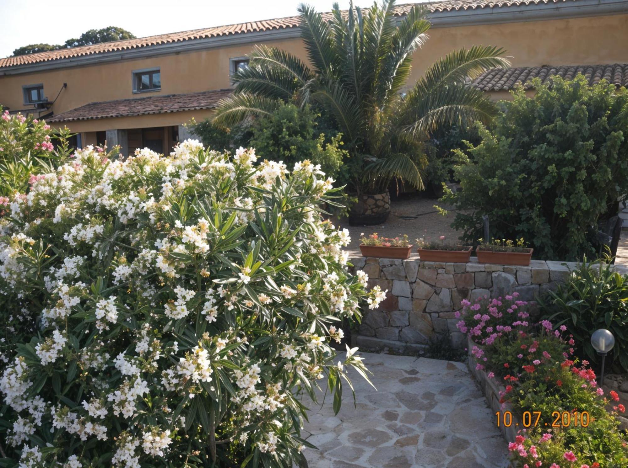 Trinità dʼAgultu Agriturismo Lu Colbu מראה חיצוני תמונה
